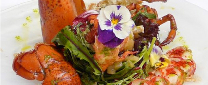 restaurante sotavento bogavante